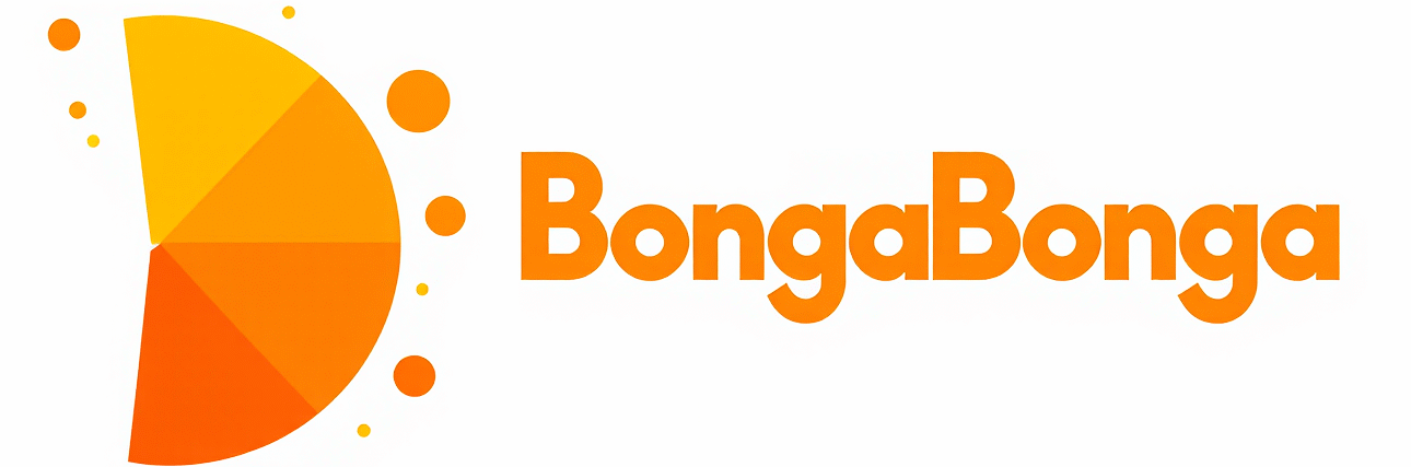 BongaBonga – Laenud Internetist 
